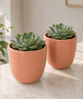 ecofynd 5 Inch Ceramic Plant Pots with Drainage Hole