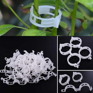 ecofynd Ecofynd Plant Support White Clips for Climbers & Garden Stems