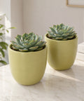 ecofynd 5 Inch Ceramic Plant Pots with Drainage Hole