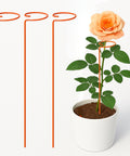 ecofynd Orange Metal Plant Trellis – 18 Inch Rust-Resistant Stake