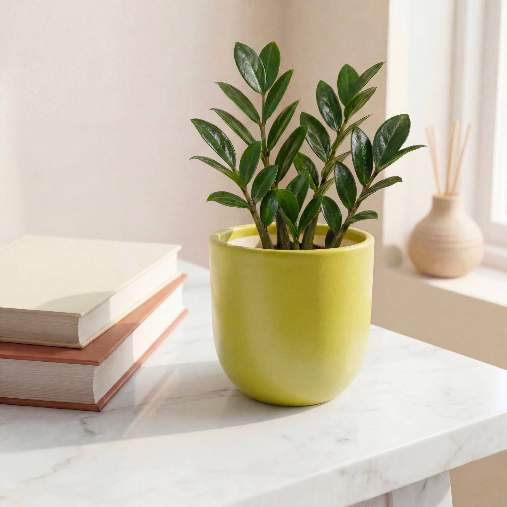 Ecofynd Light Green 5 inch Ceramic Cachepot Planter for Indoor Plants