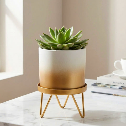 white and gold succulent pot Lucas White Metal Plant Pot with Gold Stand – Ecofynd