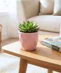 ecofynd Ecofynd Pink 4.3 Inch Cachepot Planter with Drainage Hole for Desk