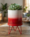 ecofynd Ecofynd Lucas Tabletop Metal Planter with Red Stand