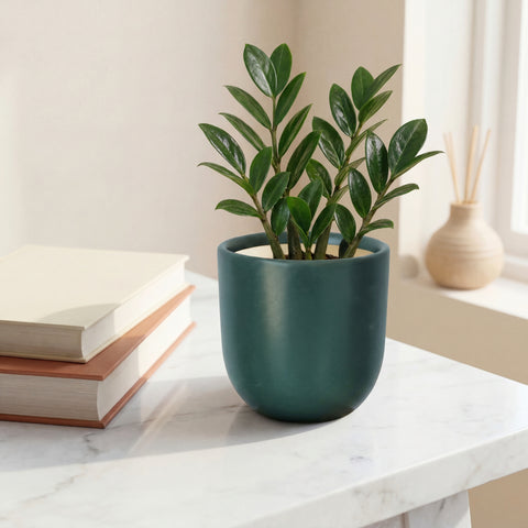 ecofynd Ecofynd Dark Green 5 inch Ceramic Cachepot Planter for Indoor Plants