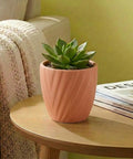 ecofynd Ecofynd Peach Twisted 4 Inch Ceramic Cachepot Planter for Indoor Plants
