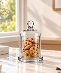 ecofynd 3.3 Inches Decorative Glass Bell Jar with Lid