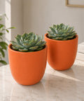 ecofynd 5 Inch Ceramic Plant Pots with Drainage Hole