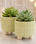 ecofynd 3.5 Inch Ceramic Plant Pots with Drainage Hole