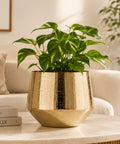 ecofynd Ecofynd Eion Jr Gold Metal Plant Pot Decorative Iron Planter
