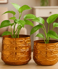 ecofynd Premium Golden Metal Planter – 7 and 5 Inch, Symmetrical Oval Design