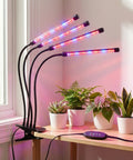ecofynd Ziva Grow Light for Indoor Plants (Herbs, Leafy Plants & Flowering
