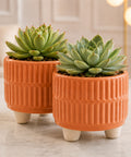 ecofynd 3.5 Inch Ceramic Plant Pots with Drainage Hole