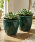 ecofynd 4 Inch Ceramic Plant Pots with Drainage Hole
