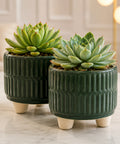 ecofynd 3.5 Inch Ceramic Plant Pots with Drainage Hole