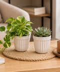 ecofynd 3.5 Inch White Ceramic Plant Pots with Drainage Hole