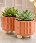ecofynd 3.5 Inch Ceramic Plant Pots with Drainage Hole