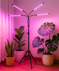ecofynd Kaira4 Grow Light for Indoor Plants | Dual Spectrum Red & Blue LED with 4/8/12 Hour Timer