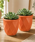 ecofynd 4 Inch Ceramic Plant Pots with Drainage Hole