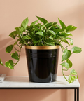 Ecofynd Black Bucket Metal Planter