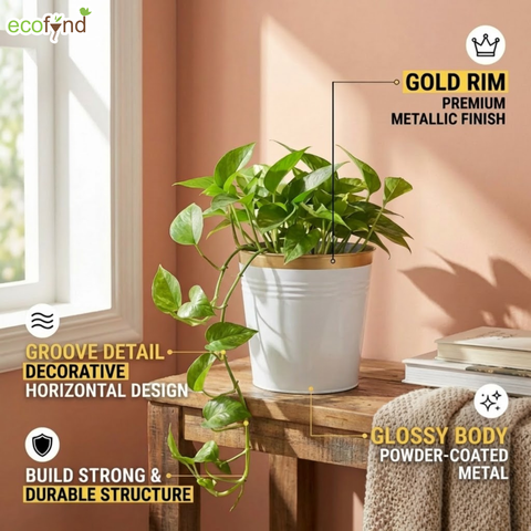 Ecofynd White Bucket Metal Planter