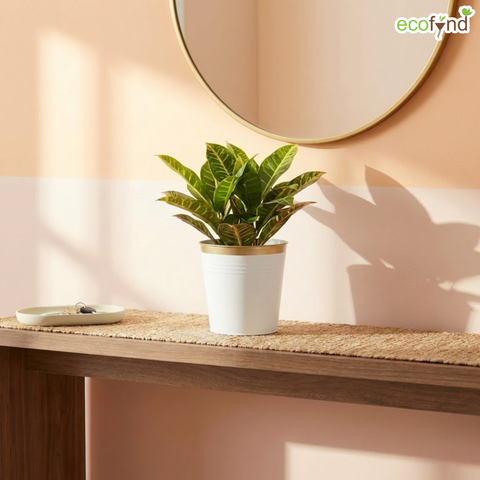 Ecofynd White Bucket Metal Planter