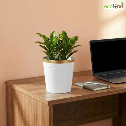 Ecofynd White Bucket Metal Planter