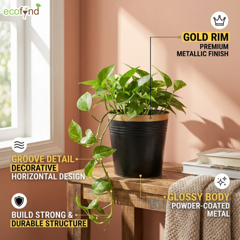 Ecofynd Black Bucket Metal Planter