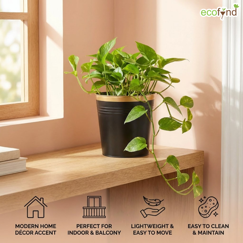 Ecofynd Black Bucket Metal Planter