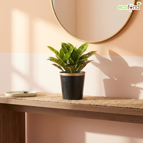 Ecofynd Black Bucket Metal Planter