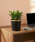 Ecofynd Black Bucket Metal Planter