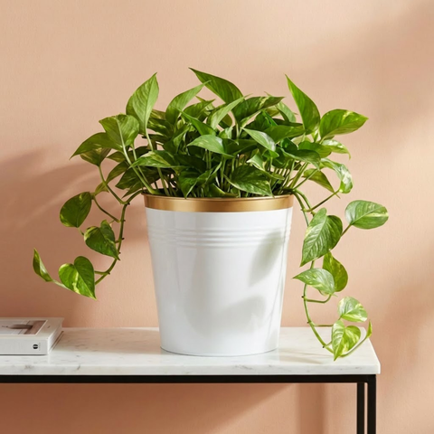 Ecofynd White Bucket Metal Planter