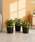 Ecofynd Black Bucket Metal Planter