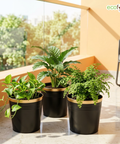 Ecofynd Black Bucket Metal Planter