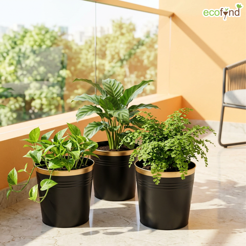 Ecofynd Black Bucket Metal Planter