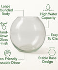 ecofynd Glass Vase for Flowers & Décor – Clear Globe Shape | Transparent