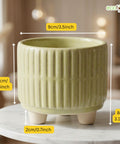 ecofynd Ecofynd Light Green 3.5 Inch Ribbed Ceramic Cachepot Planter with Drainage Hole