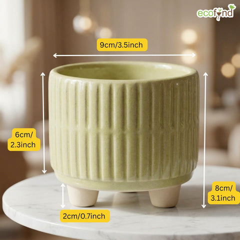 ecofynd Ecofynd Light Green 3.5 Inch Ribbed Ceramic Cachepot Planter with Drainage Hole