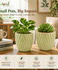 ecofynd 4 Inch Ceramic Plant Pots with Drainage Hole