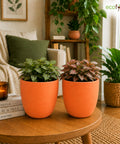 ecofynd 5 Inch Ceramic Plant Pots with Drainage Hole