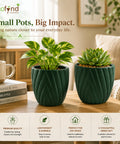 ecofynd 4 Inch Ceramic Plant Pots with Drainage Hole