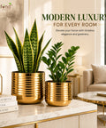 ecofynd Premium Golden Metal Planter – Set of 2, Spiral Design