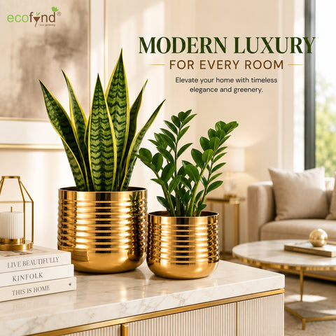 ecofynd Premium Golden Metal Planter – Set of 2, Spiral Design
