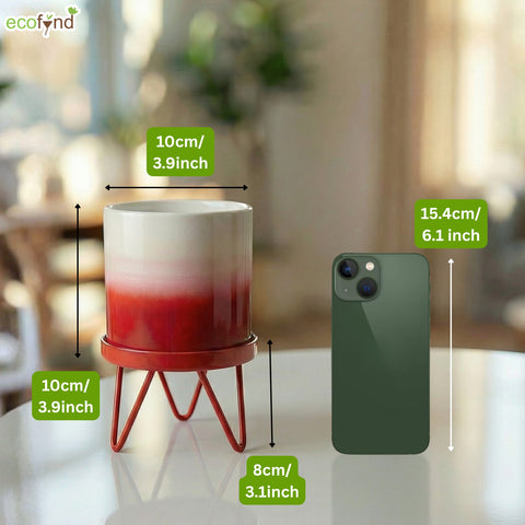 ecofynd Ecofynd Lucas Tabletop Metal Planter with Red Stand