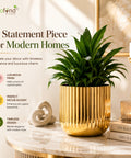 ecofynd Linea Patterned Golden Groove Planter 6.2 Inches