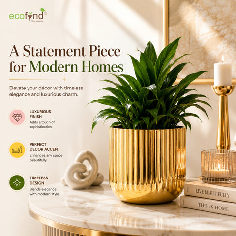 ecofynd Linea Patterned Golden Groove Planter 6.2 Inches