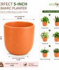 ecofynd 5 Inch Ceramic Plant Pots with Drainage Hole