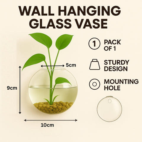 ecofynd Glass Vase for Flowers & Décor – Clear Bowl Shape | Transparent