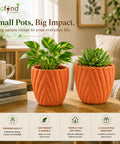 ecofynd 4 Inch Ceramic Plant Pots with Drainage Hole