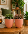 ecofynd 5 Inch Ceramic Plant Pots with Drainage Hole